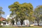 Epworth Gym and Squash Centre (10).