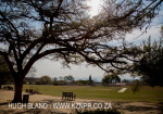 Epworth Hockey Fields (2)