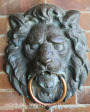 Epworth Library Lion sculptures (1)