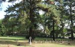 fort-napier-military-cemetery-grave-cluster-3