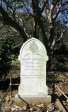 fort-napier-military-cemetery-grave-sgt-t-carter-1st-wiltshire-regt-1912