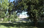 fort-napier-military-cemetery-grave-views-3