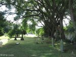 fort-napier-military-cemetery-grave-views-7