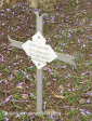 Fort Napier Cemetery Bearer G Newman 1900