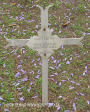 Fort Napier Cemetery Bearer T Clifton 1900