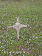 Fort Napier Cemetery Far. Sgt F R Clements  1900