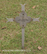 Fort Napier Cemetery Nurse I Calcleugh 1900