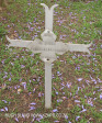 Fort Napier Cemetery Pvt J Brown 1900