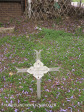 Fort Napier Cemetery Pvt J Wilson 1900