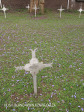 Fort Napier Cemetery Pvt PE Inman 1900