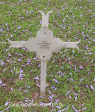 Fort Napier Cemetery Pvt W Puckett 1900