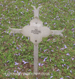 Fort Napier Cemetery Pvt WJ  Hastings 1900