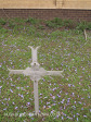 Fort Napier Cemetery Sgt A Carr 1900