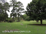 Fort Napier Cemetery overview