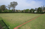 PMB - Allan Wilson Bowling Club & Greens (7)