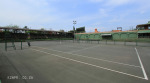 PMB - Kershaw Park Tennis Club - Gladys Rees Stand - 1959 (6)