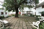 pmb-longmarket-street-voortrekker-museum-trees-1912-3