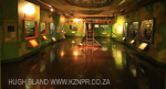 PMB - Loop Street Natural History Museum interior - (6)