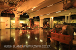 PMB - Loop Street Natural History Museum interior - (7)