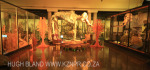 PMB - Loop Street Natural History Museum interior - (9)