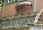 pmb-loop-street-natural-history-museum-s29-36-258-e-30-22-844-elev-666m-17
