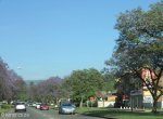 mayors-walk-pmb-street-views-south-west