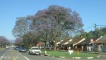 mayors-walk-pmb-street-views-to-blackwaters