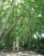 pmb-swartkops-road-kzn-botanic-gardens-hms-enchantress-bell-s-29-36-28-e-30-20-46-elev-680-2