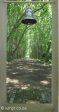 pmb-swartkops-road-kzn-botanic-gardens-hms-enchantress-bell-s-29-36-28-e-30-20-46-elev-680-5