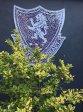 Merchiston Prep - Coat of arms  Ready Aye Ready (1)