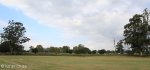 Merchiston Prep - Rugby festival (6)