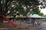 Merchiston Prep - preschool and aftercare (1)