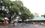 Merchiston Prep - preschool and aftercare (2)