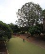 Merchiston Prep -  quadrangle (2)