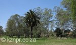 pmb-pentrich-station-fillian-park-s-29-38-09-e-30-22-19-elev-660m-15