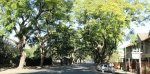 pmb-99-pietermaritz-street-west-to-raven-street-10