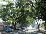 pmb-pietermaritz-st-pine-to-mccallum-1