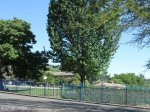 pmb-roberts-road-views-collegiate