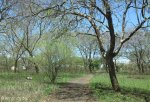 pmb-hayfields-old-caravan-park-s-29-37-40-e-30-24-33-off-collins-road-3