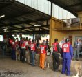 pmb-royal-agricultural-show-livestock-1