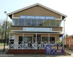 pmb-royal-agricultural-show-livestock-6