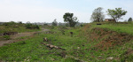 PMB - SAR & H - Goods Sheds - Exchange Road -  (19)