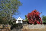 scottsville-cnr-hardy-king-george-avenue-1