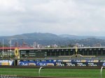Scottsville Racecourse - Tote