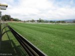 Scottsville Racecourse - Track Views  Surrey Road  (5)
