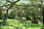Scottsville Wanderers Club Aberfeldy Road now closed 2016 courts (4)