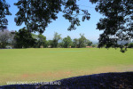 St Johns College cricket and rugby fields (16)