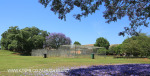 St Johns College cricket and rugby fields (19)