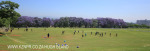 St Johns College cricket and rugby fields (2)