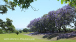 St Johns College cricket and rugby fields (24)